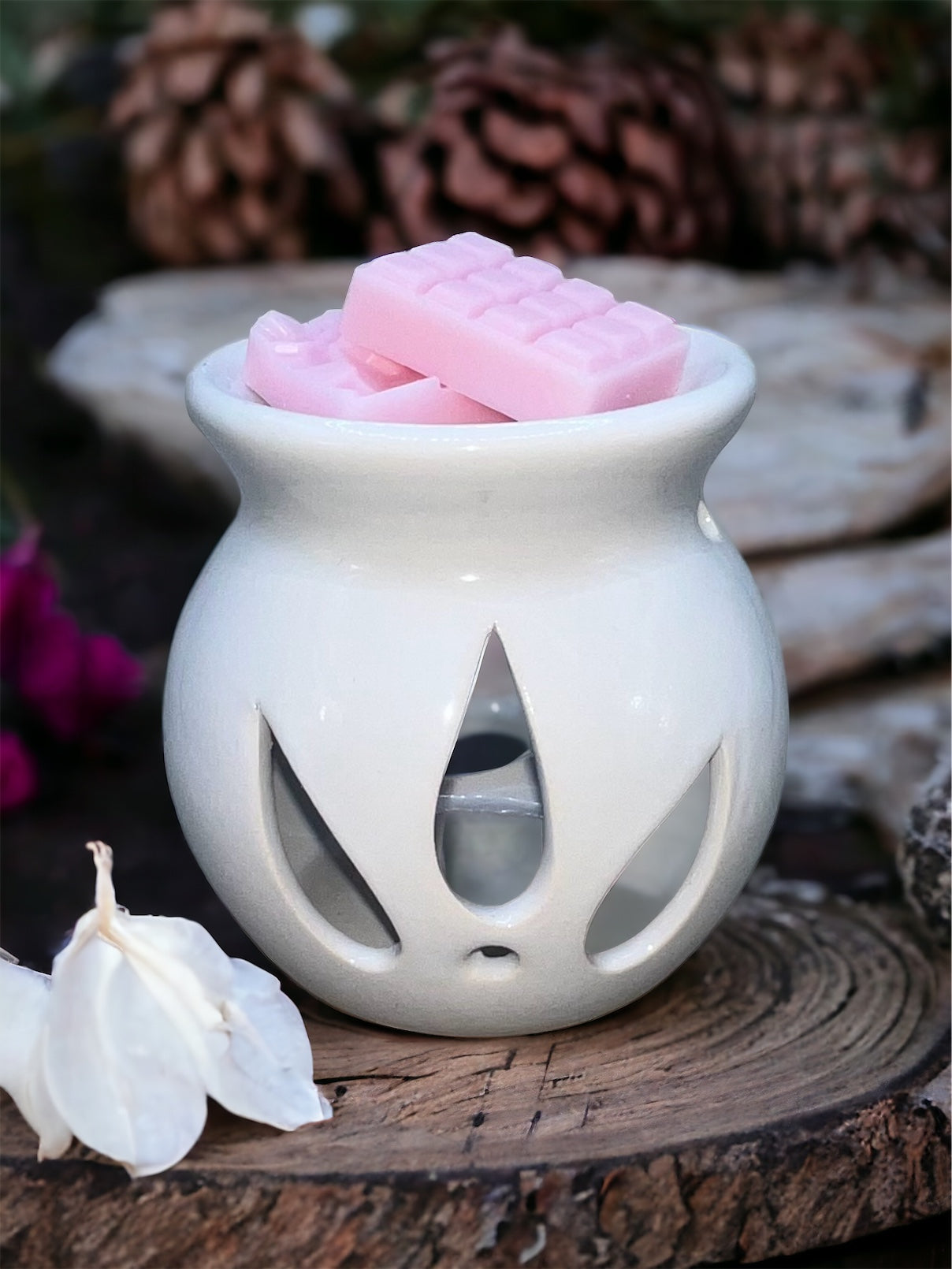 Wax melter